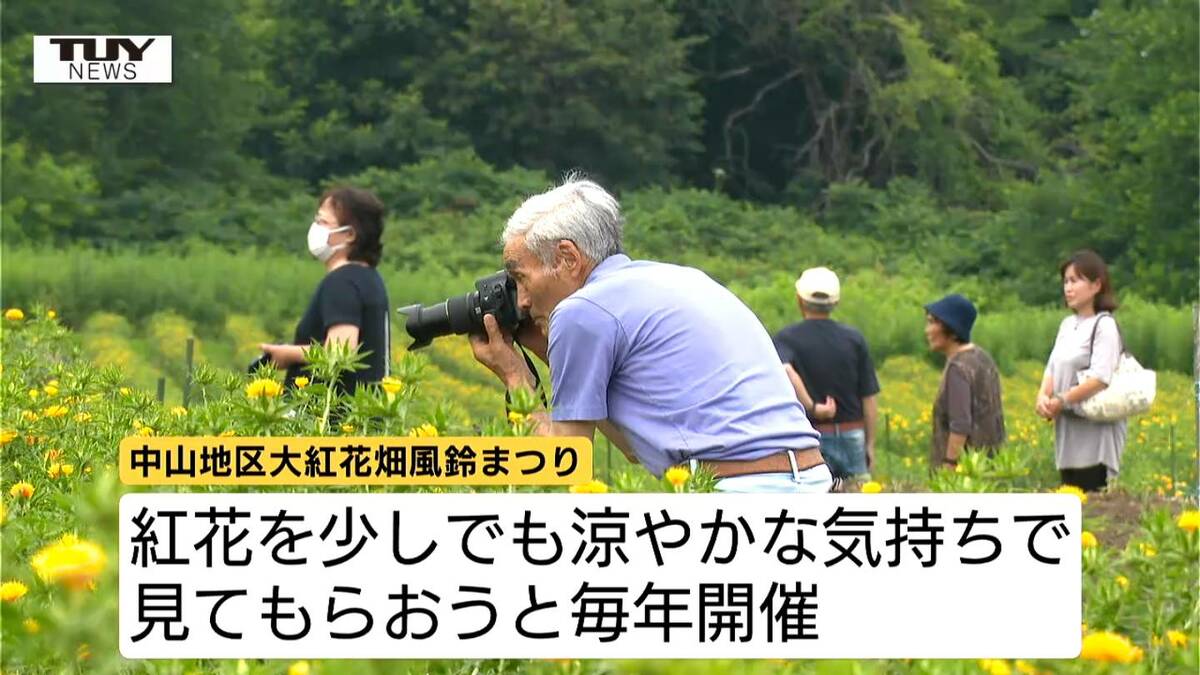 白鷹町の大紅花畑 風鈴の涼やかな音に包まれる（テレビユー山形）｜d