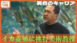 どういうこと？ 「沖縄でイカを飼うアメリカの美術教授」中島隆太さん　困難とされる「イカ養殖」に挑んだアーティストらしい “きっかけ”　|　沖縄のニュース｜RBC 琉球放送