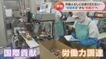 ホンネは出稼ぎ感覚?技能実習生受け入れの現場で聞いた 今や約33万人が“労働力”に ミニトマト栽培学ぶ外国人女性は「服の店を開きたい」 | 名古屋・愛知・岐阜・三重のニュース【CBC news】 | CBC web