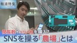 “人為的にバズらせる” SNS操る「農場」ビジネスを取材　「テスト」と書かれただけの投稿が6分で100万回表示… 選挙で悪用の懸念も【報道特集】|TBS NEWS DIG