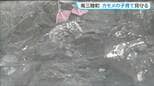 ホテルラウンジから絶滅危惧種の雛を観察?宿泊客がカモメの子育て見守る 宮城・南三陸町|TBS NEWS DIG