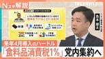 【ついに決断】高市総理「食料品消費税1%」党内集約を指示、消費減税3つのハードル 来年4月スタートできる?【Nスタ解説】|TBS NEWS DIG