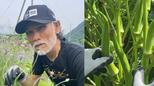 【片岡鶴太郎】巨大オクラを収穫「自然の恵みと、植物の生命力を感じる」山梨の畑で|TBS NEWS DIG
