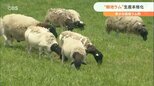 国産1%のラム肉 希少品種の導入で“臭い”イメージ覆す「朝地ラム」高級店も熱視線　|　大分のニュース｜OBS NEWS｜大分放送
