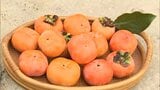 角ばった形とシャキシャキとした歯ごたえが特徴「次郎柿」 延岡市北方町で収穫始まる | MRTニュース | MRT宮崎放送