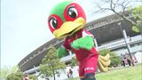 ともにホーム戦 ファジアーノ岡山は2試合連続引き分け カマタマーレ讃岐は勝ち点10で3位浮上|TBS NEWS DIG