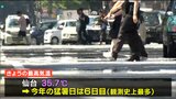 仙台35.7度 年間の猛暑日の日数「6日」で観測史上最多に|TBS NEWS DIG