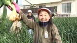 延岡市特産「空飛ぶ新玉ネギ」　地元の小学生が収穫体験|TBS NEWS DIG
