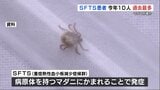 致死率6~30% マダニが原因の感染症「SFTS」患者数が今年10人、熊本県で過去最多 森林や草原で肌の露出控えて | 熊本のニュース|RKK NEWS|RKK熊本放送