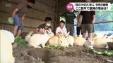 教職員の負担も原因 ここ数年で激減 「命の大切さ」学ぶ 学校の動物飼育 | MRTニュース | MRT宮崎放送