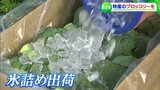 「氷詰め」にして鮮度を保つのがおいしさの秘訣 香川県産ブロッコリーの出荷最盛期 | 岡山・香川のニュース | 天気 | RSK山陽放送