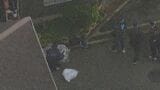 【速報】大阪・河内長野市の強盗傷害事件 男を緊急逮捕　強盗傷害と住居侵入容疑で|TBS NEWS DIG