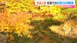 色鮮やかな“紅葉”が水面に映し出される「鏡池」も！『紅葉山公園』が見ごろ　新潟県佐渡市　|　新潟のニュース・天気｜BSN NEWS｜BSN新潟放送
