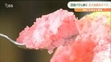 旬を迎えた日田スイカ バラエティ豊かな冷たいスイーツがいっぱい! | 大分のニュース|OBS NEWS|大分放送