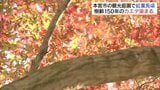 「穏やかな気持ちに…」観光庭園の紅葉見頃、約500本の木々色づく　本宮市の蛇の鼻　福島　|　福島のニュース│TUF