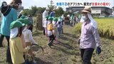 園児が元気に稲刈り 食料不足のアフリカへ支援米 富山・滑川市|TBS NEWS DIG