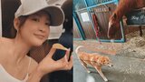 【紗栄子】ファームの保護犬と高齢馬が相次いで旅立つ "たくさんの方々に愛してもらったラブちゃんとブレイク"|TBS NEWS DIG
