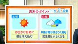 高知の天気 土曜は晴れ 日曜は午後に雨のぱらつく所も 東杜和気象予報士が解説|TBS NEWS DIG