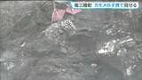 ホテルラウンジから絶滅危惧種の雛を観察？宿泊客がカモメの子育て見守る　宮城・南三陸町|TBS NEWS DIG