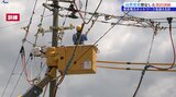 自然災害による停電や設備被害からの早期復旧に向けた手順や連携を確認 東北電力ネットワーク4支社合同訓練|TBS NEWS DIG