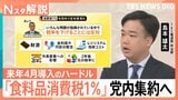 【ついに決断】高市総理「食料品消費税1%」党内集約を指示、消費減税3つのハードル 来年4月スタートできる?【Nスタ解説】|TBS NEWS DIG