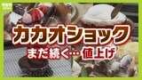 「チョコの価格は今後さらに倍に」カカオショックの原因はウイルス！？４億本以上の木が焼き払われる...菓子業界の打開策は？|TBS NEWS DIG