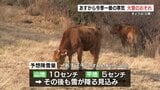 「雪合戦はしたいけど…」熊本県内は“今季一の寒波”で4日(火)~6日(木)まで大雪のおそれ | 熊本のニュース|RKK NEWS|RKK熊本放送