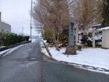 【現場】クマを見つけたのは登校中の小学生　天童市で親子とみられるクマ3匹を目撃　自宅に戻り家族が通報（山形）　　|　山形のニュース│TUYテレビユー山形