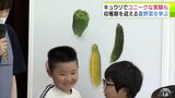 子どもたちが実験通して学ぶ　地元で採れた「夏野菜」について　青森市|TBS NEWS DIG