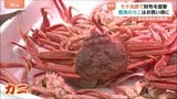 年末年始の食卓は…“令和のコメ騒動”の影響でモチが高騰！？ カニは豊漁で身近な食材に？|TBS NEWS DIG