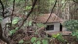 「人の骨のようなものが…」肝試しで空き家に入った20代女性が通報 全身白骨化した遺体を発見 死後10年程度経過か 成人男性の可能性 | 福岡のニュース|RKB NEWS|RKB毎日放送