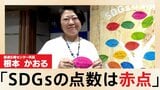 「SDGsは“赤点”」目標達成の2030年まで折り返しも、順調に進んでいるのは17% 日本の国連幹部が警鐘|TBS NEWS DIG