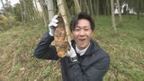 春の味覚…タケノコシーズン到来 石橋アナが収穫体験＆おいしいタケノコの見分け方　|　石川県のニュース｜MRO北陸放送