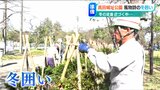 「大雪に備えて…」5000本の樹木に冬囲い 上越市・高田城址公園|TBS NEWS DIG
