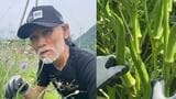 【片岡鶴太郎】巨大オクラを収穫「自然の恵みと、植物の生命力を感じる」山梨の畑で|TBS NEWS DIG