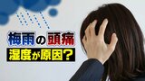 「雨の日は頭が痛い」原因は “気圧” よりも “湿度” にあった!メカニズムを医師に聞いてみると | 富山のニュース|天気・防災|チューリップテレビ