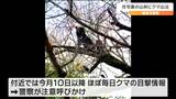 「心配というか怖い」12月なのに“クマの出没”相次ぐ エサ十分でないクマは冬眠せず人里に出没の可能性 宮城|TBS NEWS DIG