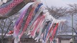 約420匹が大空泳ぐ 釈迦堂川のこいのぼり、今年もお目見え 福島・須賀川市|TBS NEWS DIG