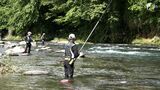 狩野川でアユ釣り解禁　「大きい魚がたくさん獲れて」太公望たちが上々の初日＝静岡|TBS NEWS DIG