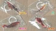 「生」「ボイル」「素干し」…調理法別にデザインされた “ホタルイカ” 滑川市のホタルイカ愛が爆発したユニークなカプセルトイ「なめガチャ」 | 富山のニュース|天気・防災|チューリップテレビ