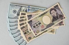 円は対ドル152円台後半、短観後も利上げ見送り観測重し－実需売りも| TBS CROSS DIG with Bloomberg