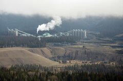 米政府、カナダの鉱物資源会社の株式10%取得へ－ホワイトハウス| TBS CROSS DIG with Bloomberg