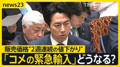 コメ“緊急輸入”の可能性は…生産者からは「不安」の声　コメ販売価格2週連続の値下がるも続く高止まりへの対応は？【news23】| TBS CROSS DIG with Bloomberg