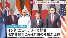 「クアッド」外相会合 イラン情勢など念頭にエネルギー安定供給について協力確認か　日米豪印4か国の外相が出席　| TBS CROSS DIG with Bloomberg
