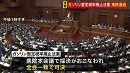 ガソリンの暫定税率廃止法案が衆議院を通過　与党側は月内成立を目指す|TBS NEWS DIG