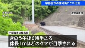 宇都宮市の住宅街でクマ目撃　体長1メートルほど　きょうも警察や猟友会などによる警戒活動|TBS NEWS DIG