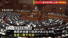 ガソリンの暫定税率廃止法案が衆議院を通過　与党側は月内成立を目指す|TBS NEWS DIG