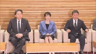 特殊詐欺の被害拡大を受け、「データSIM」契約時の本人確認の厳格化を盛り込んだ改正案を閣議決定| TBS CROSS DIG with Bloomberg