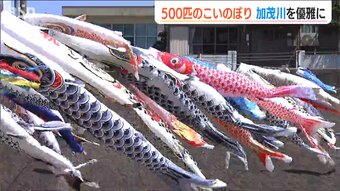 春の風物詩が とあるものに“生まれ変わって”好評　加茂市の加茂川を泳ぐ500匹のこいのぼり　新潟県|TBS NEWS DIG
