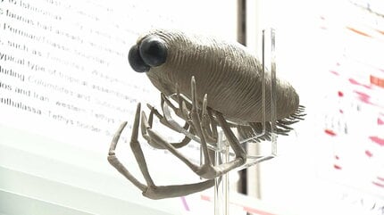 パリシカリス・ナオヤイ」新種の化石に漁師の名前がついて“発掘体験